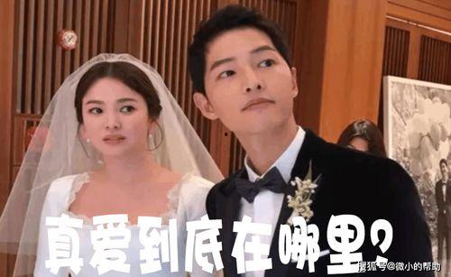 娱乐圈圈内吃瓜事件是什么,揭秘明星背后的秘密与争议